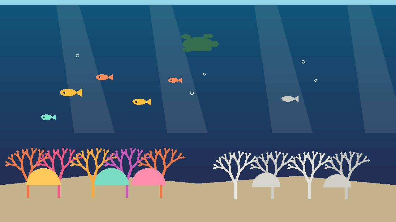 Editorial illustration of an underwater reef split between colourful living coral with fish on one side and white bleached coral skeletons on the other — no real place or incident depicted