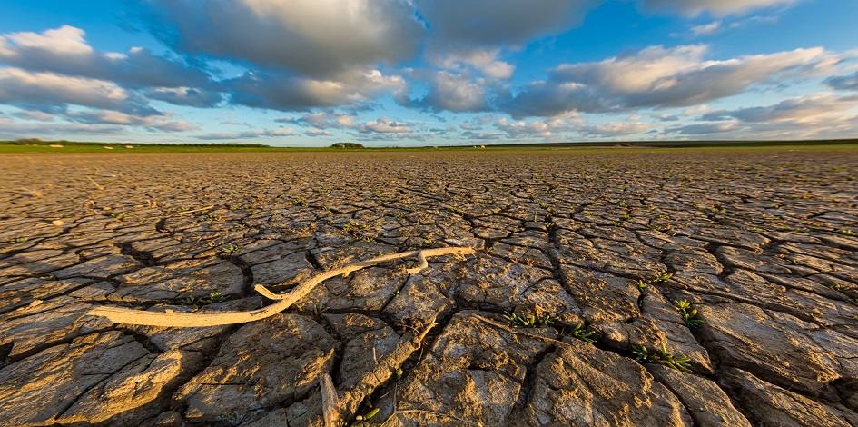 Dry, cracked earth under climate stress