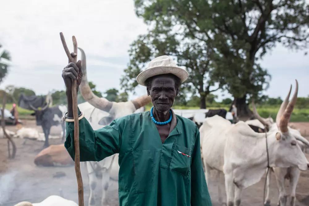 File photo of a cattle keeper standing with long-horned cattle at a cattle camp in Warrap State, South Sudan