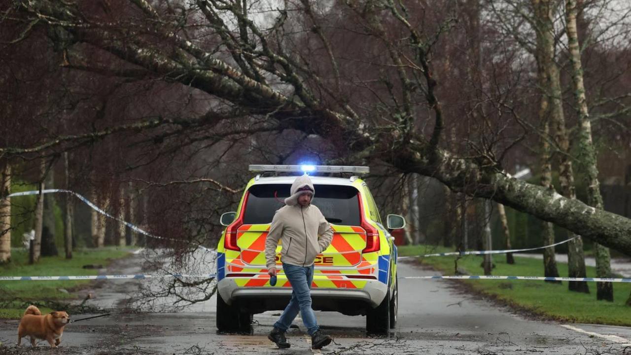 File photo of a fallen tree blocking a road in the UK during stormy weather, with a police vehicle at the scene