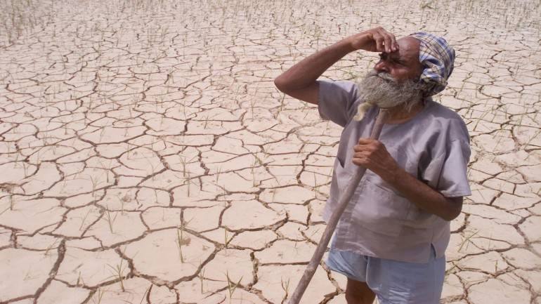 A farmer standing in a dry, cracked field in Gujarat during a drought (file photo)