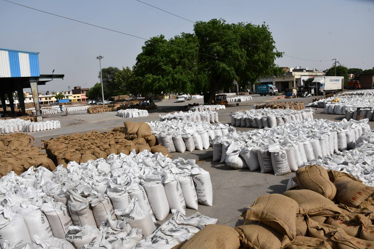 File photo of paddy at a grain market in Haryana