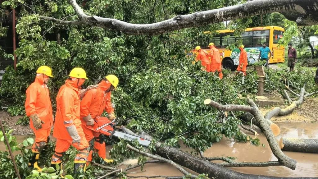 NDRF personnel in orange gear clearing fallen trees at Nakapalli in Anakapalli district after Cyclone Arnab's landfall