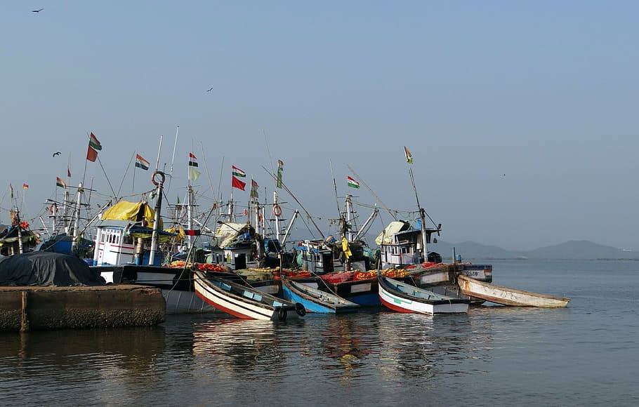 Fishing boats moored at Tadri harbour on the Aghanashini river in Karnataka (file photo)