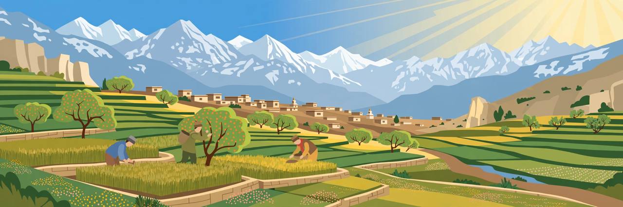 Editorial illustration of terraced organic farm fields in a Ladakh Himalayan valley with generic farmers and snow-capped mountains