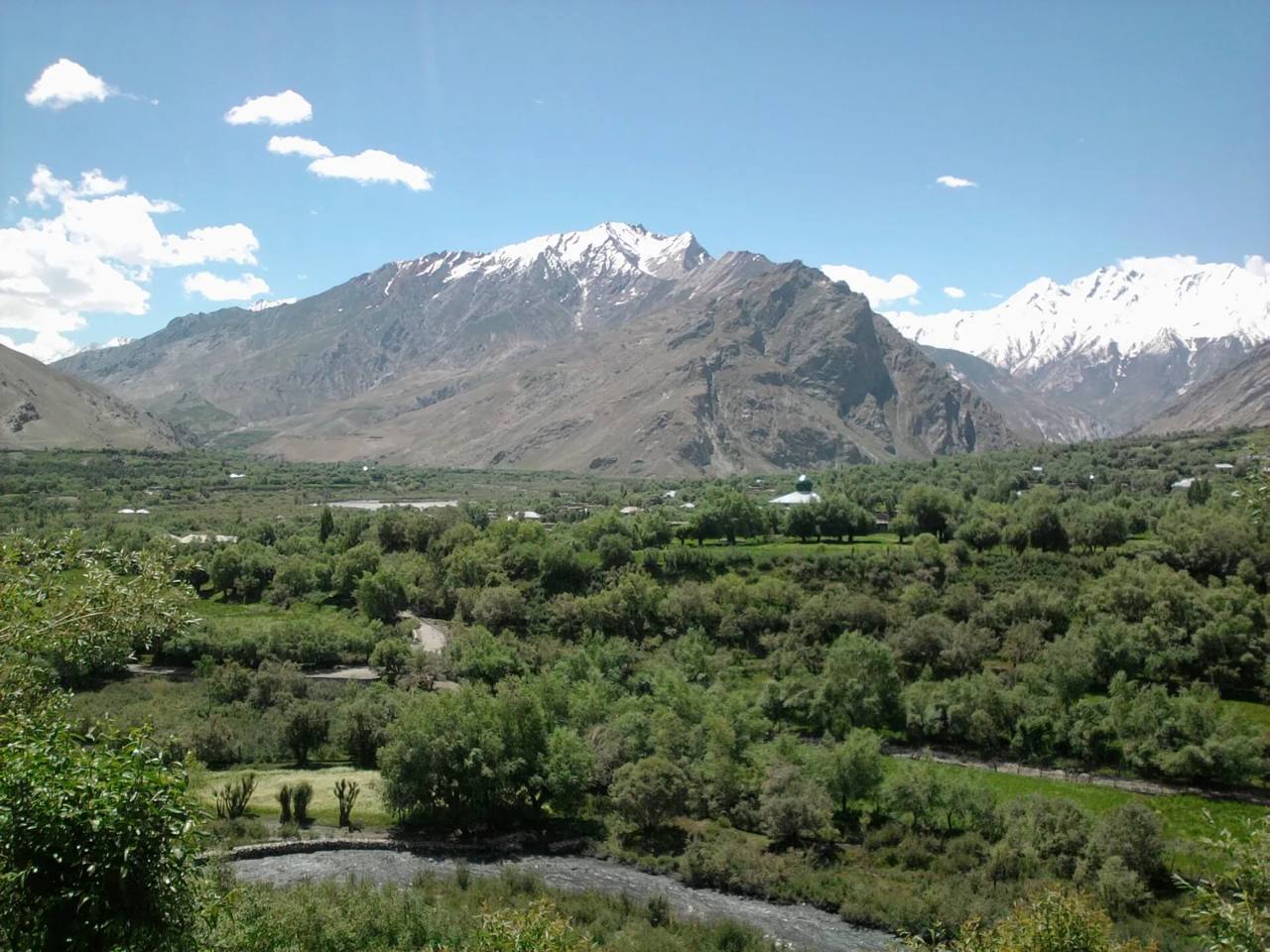 The green Suru valley at Sankoo in Ladakh, with snow-covered Himalayan peaks behind it