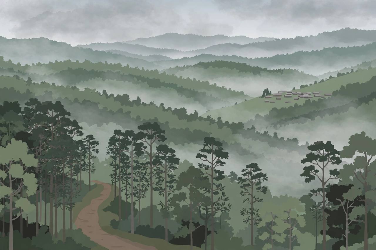 Editorial illustration of the misty forested hills of Kangpokpi district in Manipur at dawn, with an empty forest path and a small distant hillside village