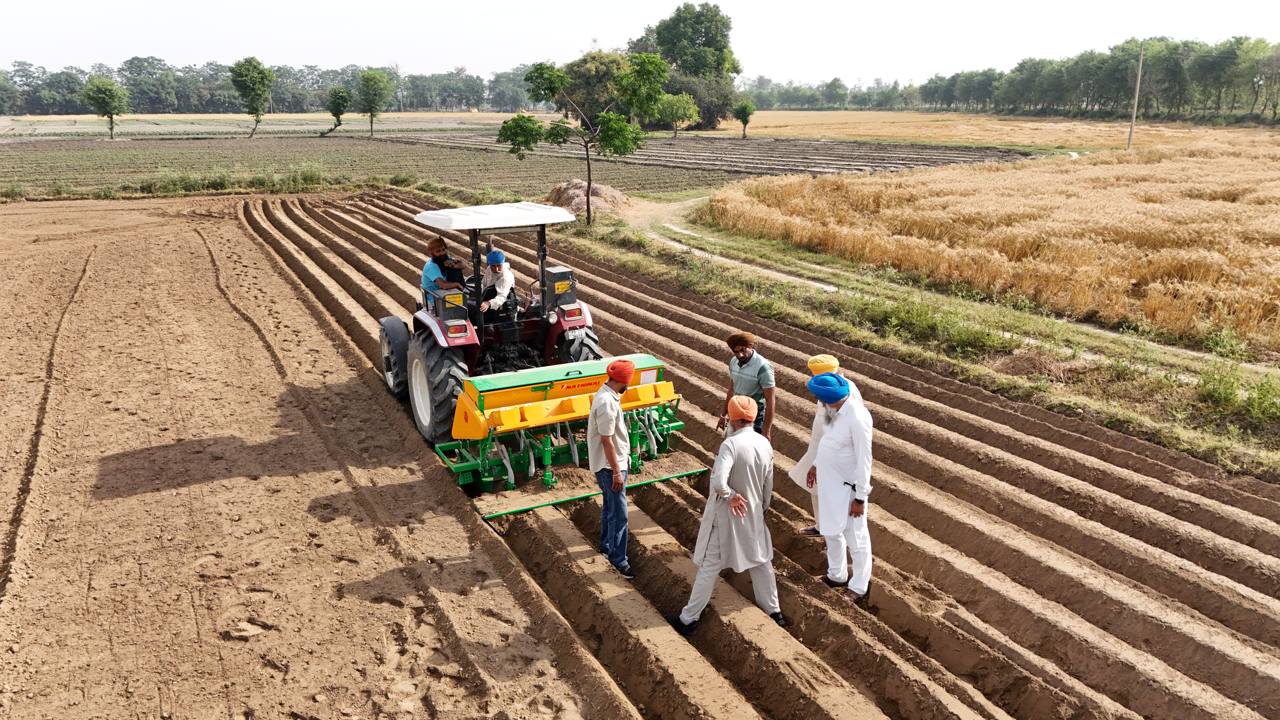 Farmers with a tractor-mounted seed drill in a prepared field in Punjab, with a standing wheat crop alongside (file photo)