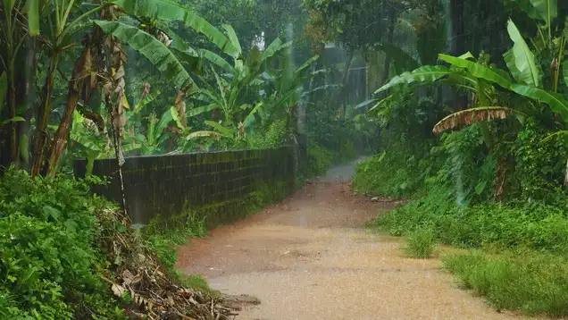 File photo of heavy rain and a weather alert in Tamil Nadu