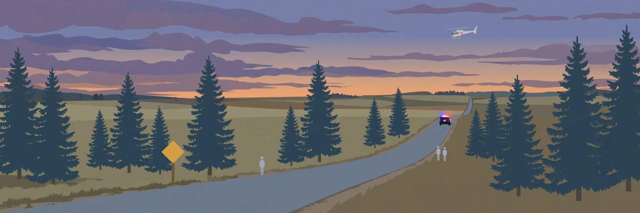 Editorial illustration of a generic rural Georgia county road with a sheriff vehicle in the distance and a medical helicopter far away — no real person is depicted