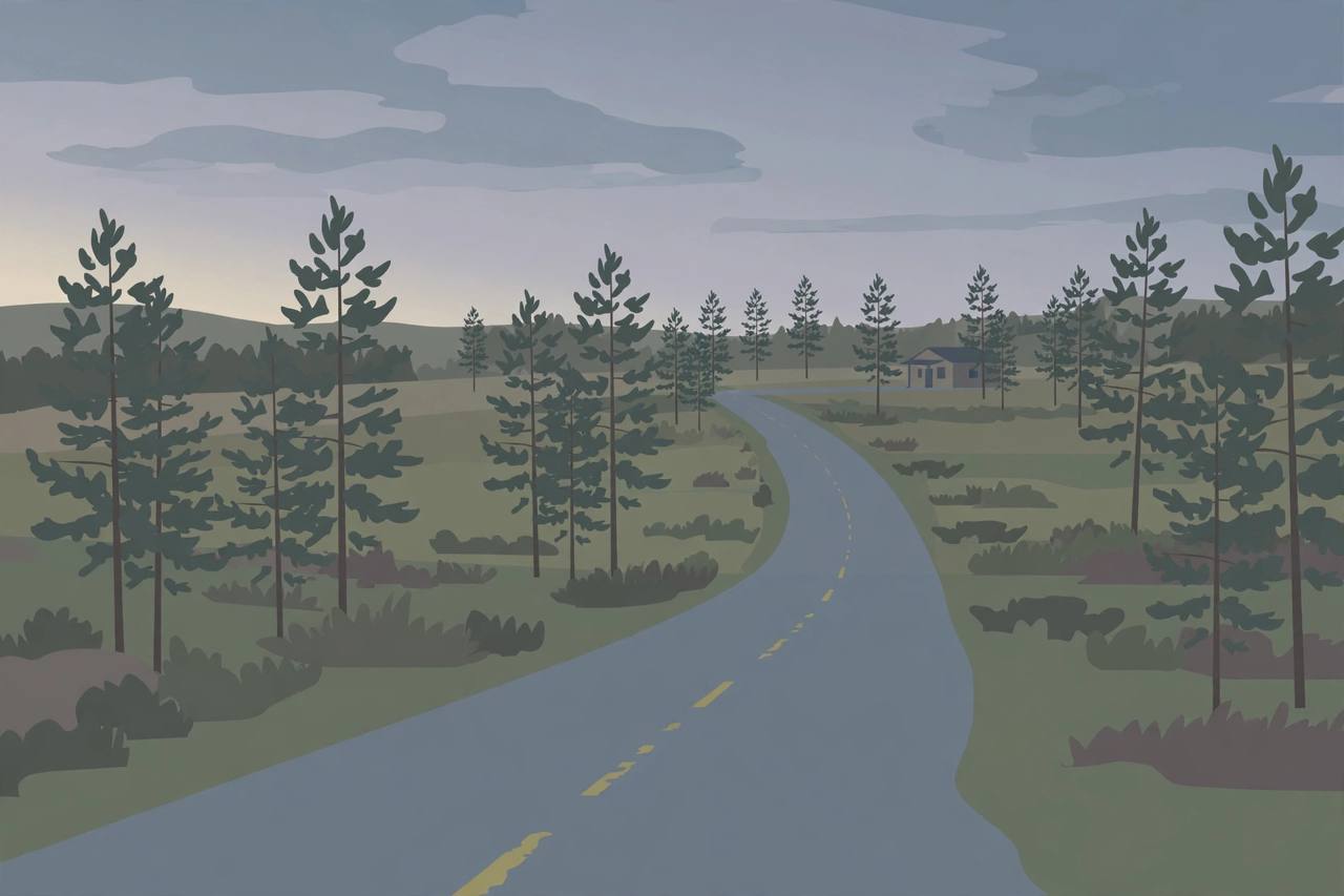 Editorial illustration of a generic rural Georgia county road with pine trees, flat style, no people, no homes, no real place depicted