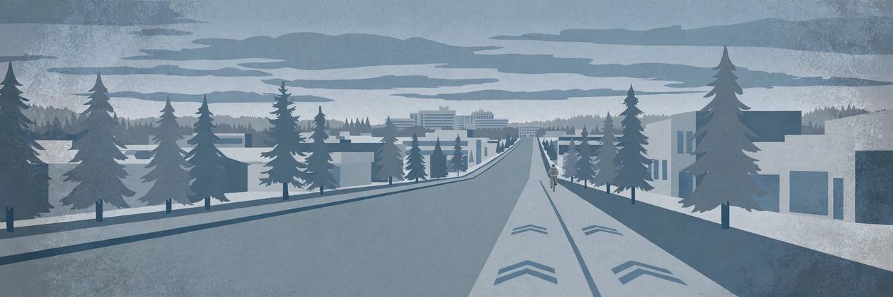Editorial illustration of a generic North Seattle arterial street with a marked bicycle lane, evergreen trees and a small generic cyclist in the distance, flat style, no crash or injury depicted and no real person depicted